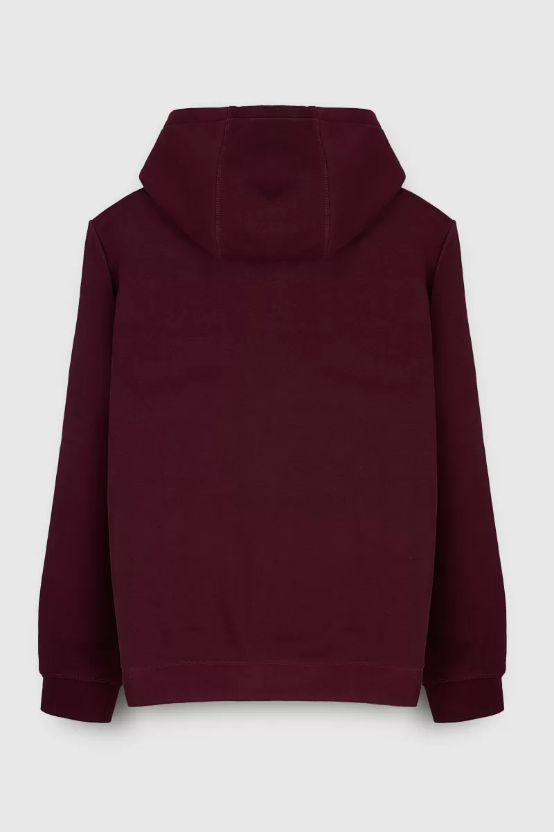 Teddy Smith Sweat<Sweat à capuche S-NARK HOODY DARK WINE 1 DARKWINE