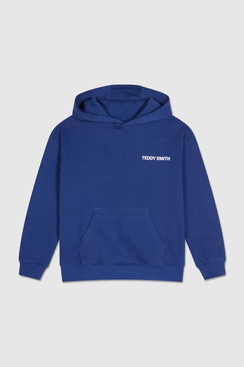 Teddy Smith Sweat<Sweat molleton avec capuche REQUIRED HOOD BLEU GALAXIE BLEUGALAXIE