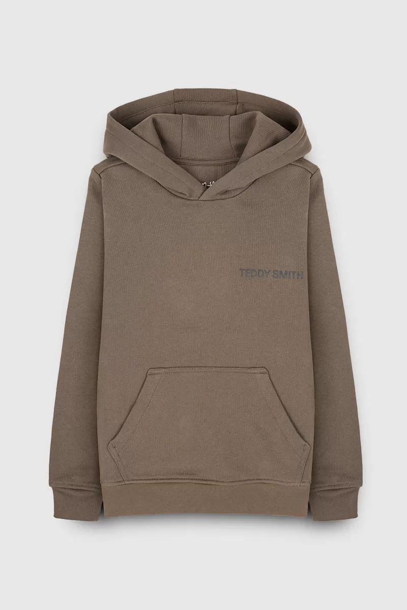 Teddy Smith Sweat<Sweat molleton avec capuche REQUIRED HOOD KAKI BELUGA KAKIBELUGA