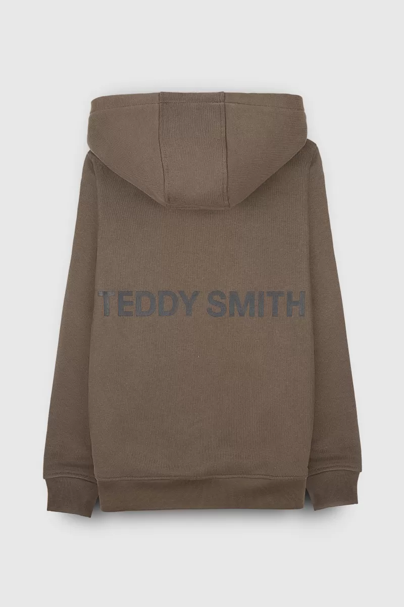 Teddy Smith Sweat<Sweat molleton avec capuche REQUIRED HOOD KAKI BELUGA KAKIBELUGA