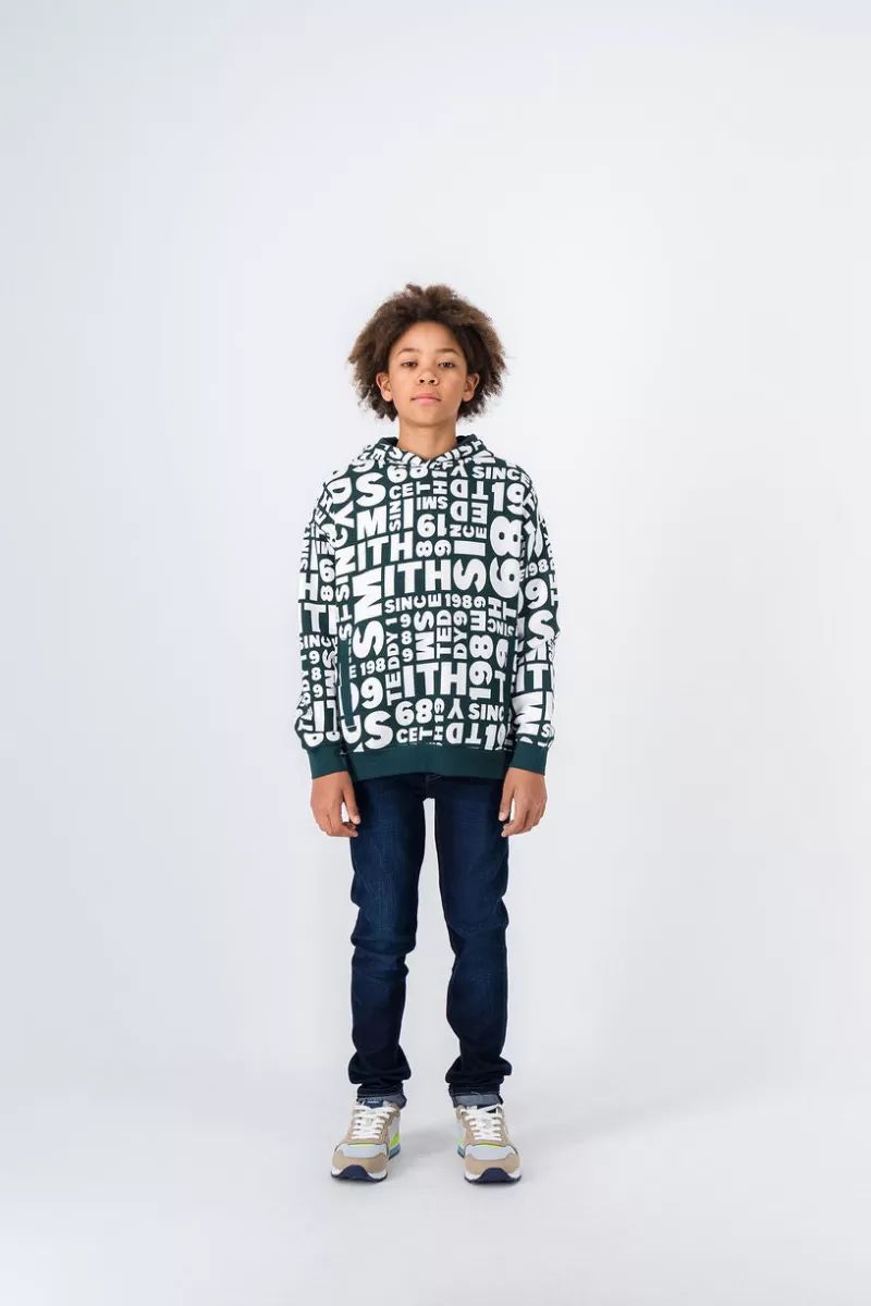 Teddy Smith Sweat<Sweat-shirt à capuche BARRY HOODY JR VERT SCARABE